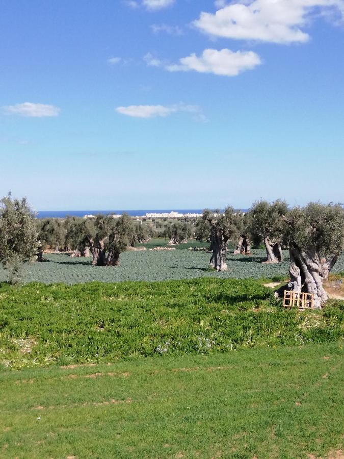 פאסאנו Masseria Ricci מראה חיצוני תמונה