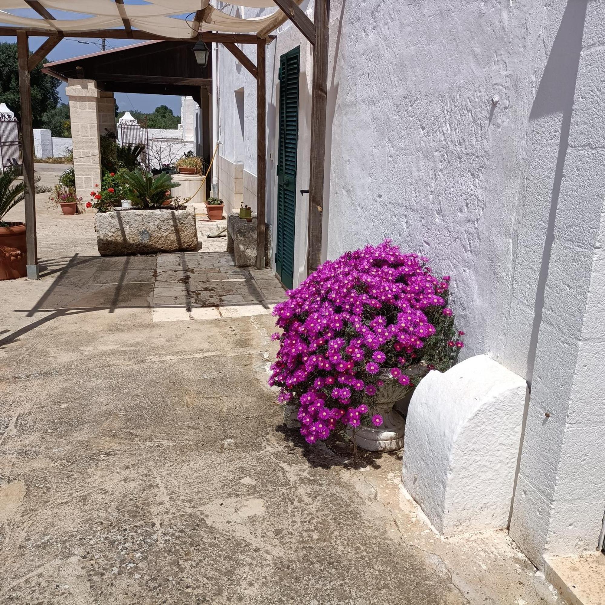 פאסאנו Masseria Ricci מראה חיצוני תמונה