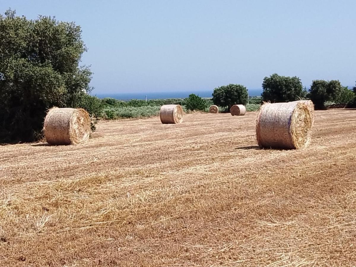 פאסאנו Masseria Ricci מראה חיצוני תמונה