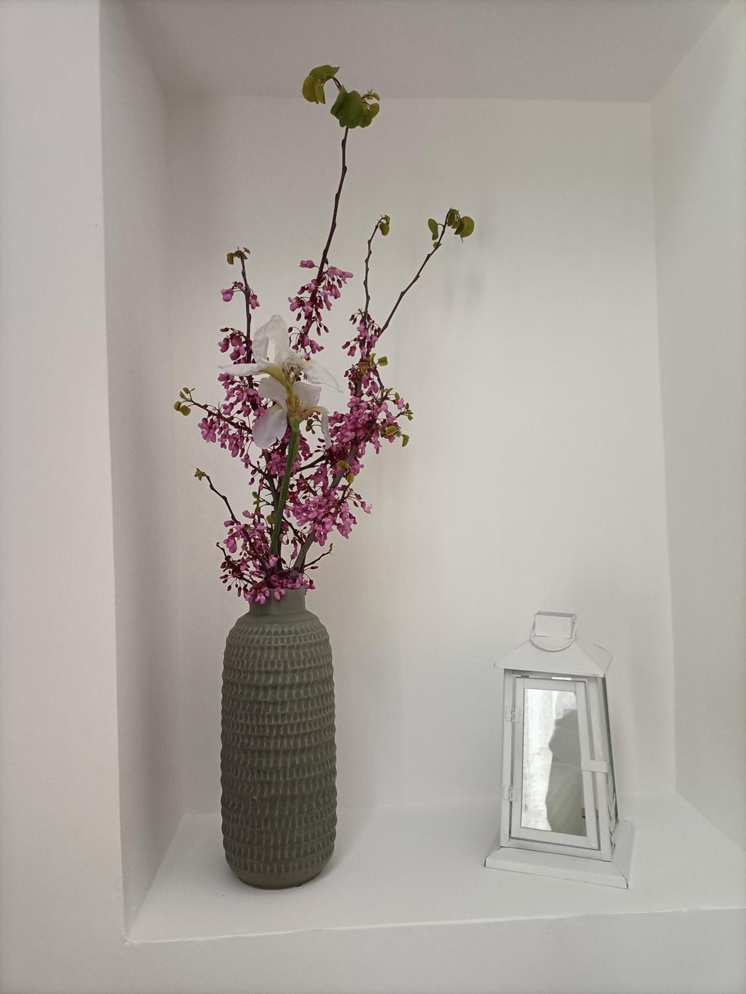 פאסאנו Masseria Ricci מראה חיצוני תמונה