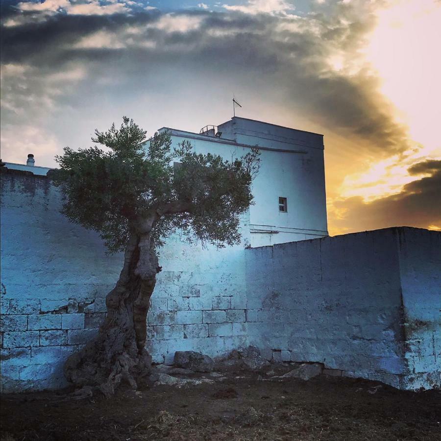 פאסאנו Masseria Ricci מראה חיצוני תמונה